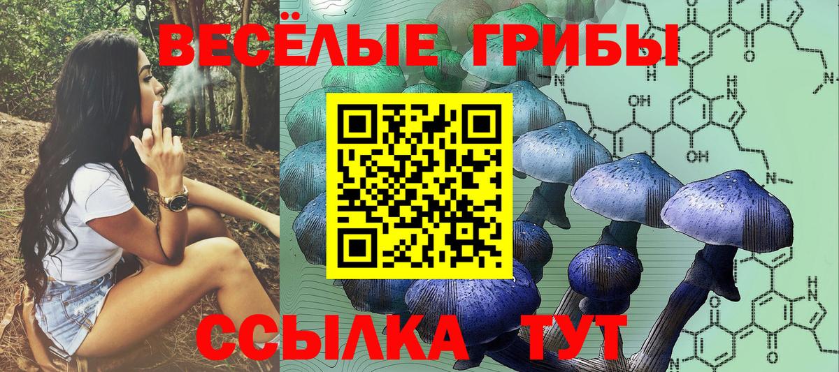 Псилоцибиновые грибы GOLDEN TEACHER Узловая