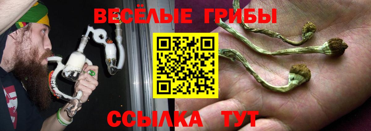 Узловая  Галлюциногенные грибы Psilocybe  Вход с VPN 
